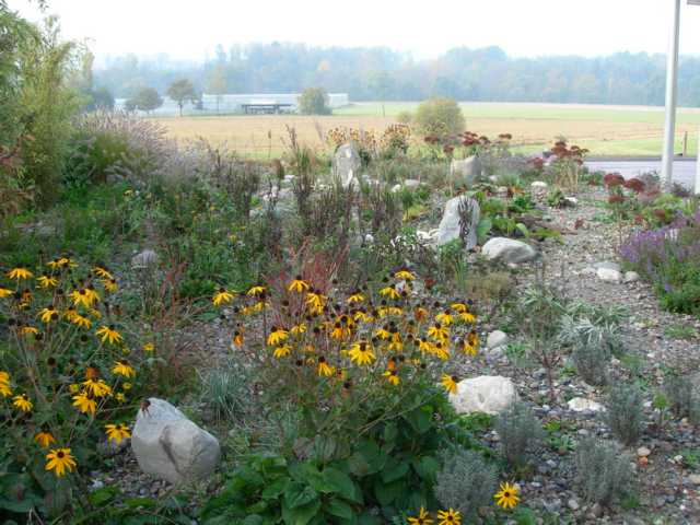 Gartenbau, moderner Garten